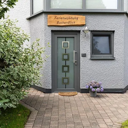 Appartement Buchenblick,